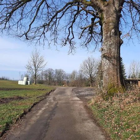 Ferienwohnung Redlendorf 迈内尔茨哈根